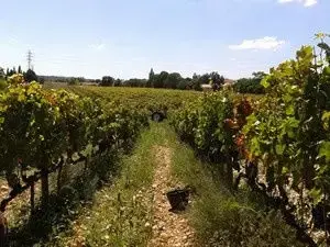 Domaine Breyton